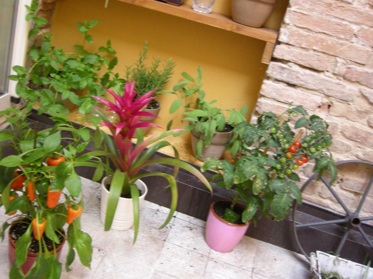 Terrazza Petroni Apartment Bologna Bagian luar foto